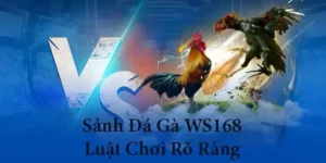 Bí Kíp Chơi Đá Gà WS168 Tại BWing Giúp Anh Em Thắng Lớn