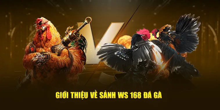 Bí Kíp Chơi Đá Gà WS168 Tại BWing Giúp Anh Em Thắng Lớn