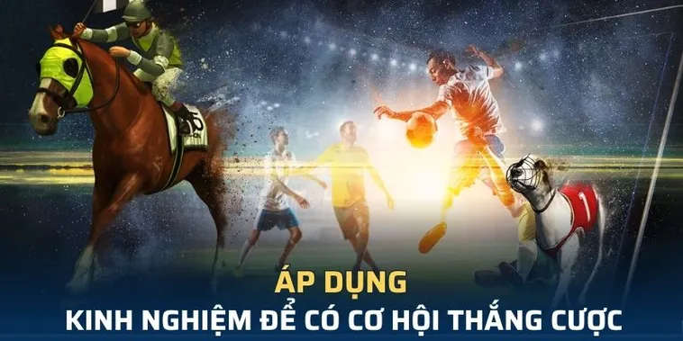 Tìm Hiểu Cá Cược Thể Thao Ảo BWing: Sân Chơi Tốc Độ Và Đẳng Cấp