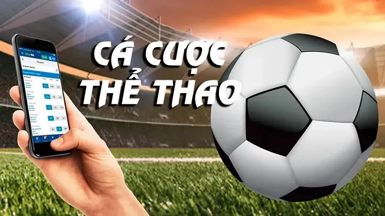 Khám Phá Sảnh Thể Thao BWing Đẳng Cấp Hàng Đầu Châu Á Hiện Nay